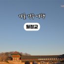 월정교 | 겨울 경주 여행 추천｜고즈넉한 야경 명소 월정교 방문 후기