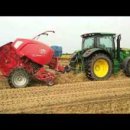 새만금 청보리농장 이미지