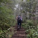 서봉에너지 이미지