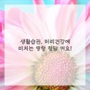 플러스마취통증의학과의원 이미지