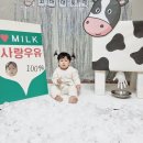 1월 컬러데이(하얀데이) - 꼬대 목장🐄🥛 이미지