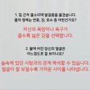 다방면 이미지