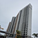 엠티브이 이미지