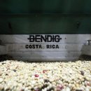 마지커피 이미지