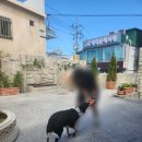 궁전게임장 | 밥 먹을래, 나랑 여행갈래