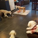 두루몽실 이미지