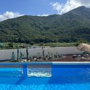 스테이 자이언 이미지