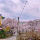 울주몬테소리어린이집 이미지