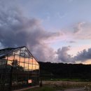 단천리농장 이미지