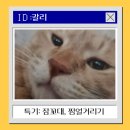 찹찹 펫푸드 | 고양이 미니 습식캔 추천 I 하림 밥이보약 건강무스 급여 후기