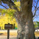 장현보건진료소 이미지