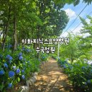 이화피닉스요양병원 | 아산 숨은 수국명소 가볍게 구경하기 좋은 이화피닉스요양병원 수국정원!