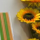 참사랑홈파티스스튜디오 이미지