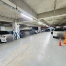 세종시청뒤편 이미지