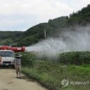 홍천군농업기술센터미생물센터 이미지