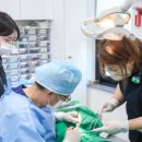 이종선치과의원 이미지