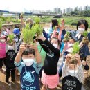 안양천(좌안) 이미지