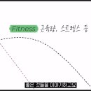 TI FITNESS 이미지