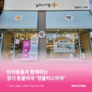 영플러스약국 이미지