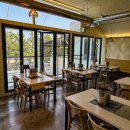 팔도강산 본점 | [강릉 경포대 맛집] “조개의정석 강릉본점” 강릉 경포대 조개구이, 경포해변 조개구이 맛집 방문 솔직...