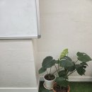 플레이팩토분당지사학원