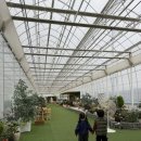 별휴게점 | <하늘의별딸기> 화성 딸기농장 (스냅,모래놀이,컵케이크) 체험후기