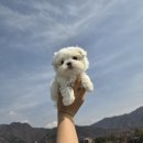 다온하루