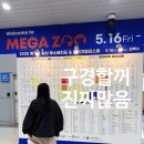 일산 펫박람회 메가주 입점업체 강아지간식 쇼핑후기