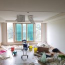 도배나라 이미지