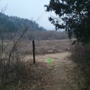 대산면920 이미지