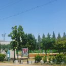 혁신체육공원 축구장 이미지