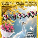 💰 행운을 가져다주는 공작새 보고가세요! 💰- 좋은 글 中에서 이미지