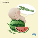39주 임산부의 일상|출산 전조증상, 출산