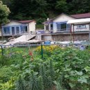 왕피천계곡민박 이미지