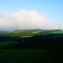 백두그린 이미지