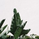 이즈디자인 네이버블로그