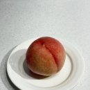 복자슈퍼