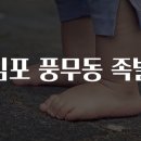 김포족발
