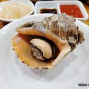 맘모스회센타14호