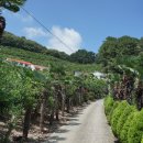 학동산장 이미지