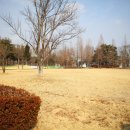 을미기체육공원 농구장