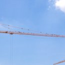 밀레니엄 이미지