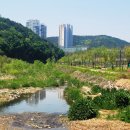 신동게이트볼장 이미지