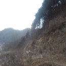 신산리-2 이미지