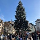 유진카 | 프랑크푸르트 렌트카 여행 스트라스부르·콜마르 크리스마스 마켓 후기