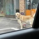 두지네 윗집 이미지