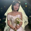 지정20 | W.20 세인트헬레나 드레스투어 후기 강경실크 최종 지정