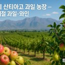 세계로관광농원 Daum카페