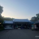 (주)달나라 | [과천] 도파민 폭발! 서울랜드 야간개장 After 6 정복기😖🎢🎠 (ft. 2026 K-도파민 페스티벌/주차/웨이팅...