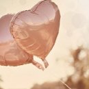 보육학개론 이미지